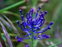 IMG_9684
