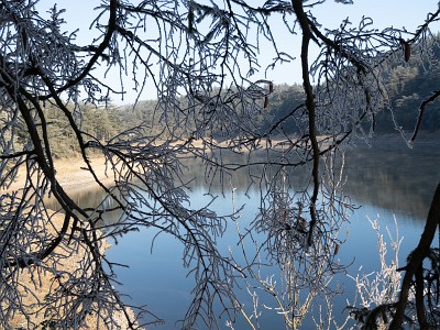 IMG_4595