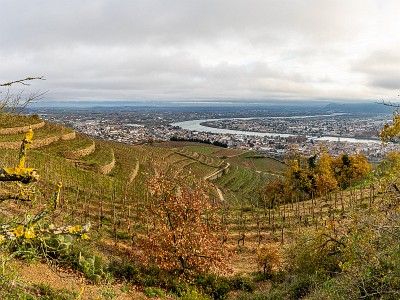 IMG_4705-Pano