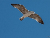 IMG_1897