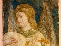 IMG_1438
