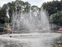 IMG_1382