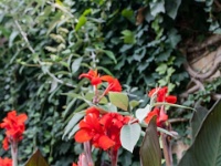 IMG_1234