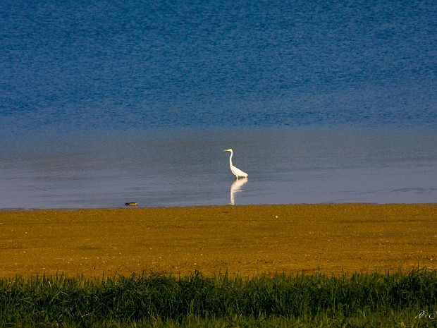 Lac de Der-Chantecoq