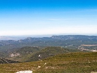 IMG_6317-Panorama