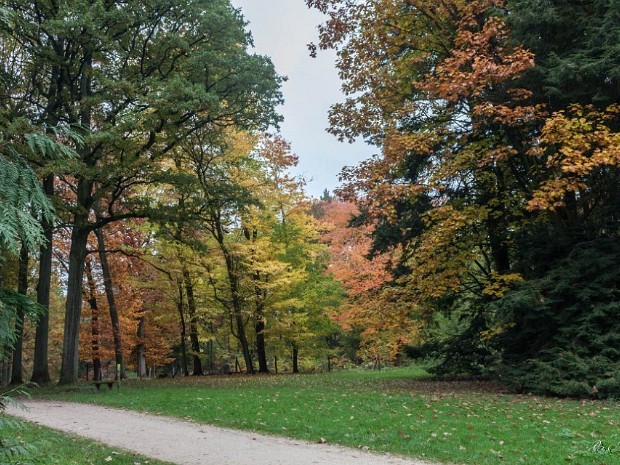 Arboretum Tervuren