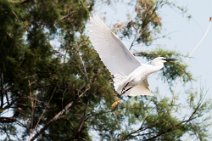 IMG_2729