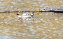 IMG_2623-1