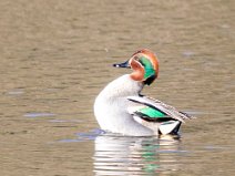 IMG_2628