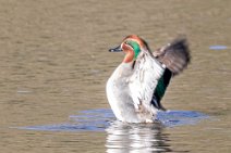 IMG_2629