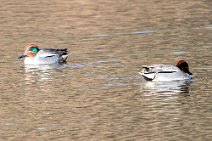 IMG_2631