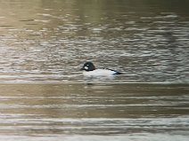 IMG_7697