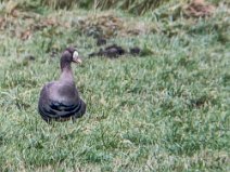 IMG_7730