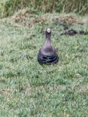 IMG_7731