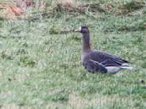 IMG_7735